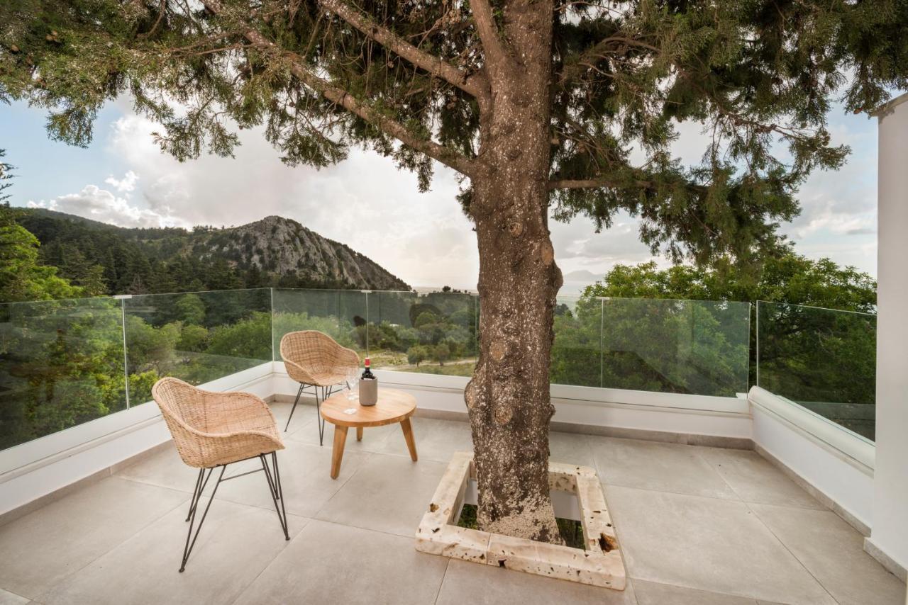 Forest View Villas 1 Lagoudi Zia Екстериор снимка