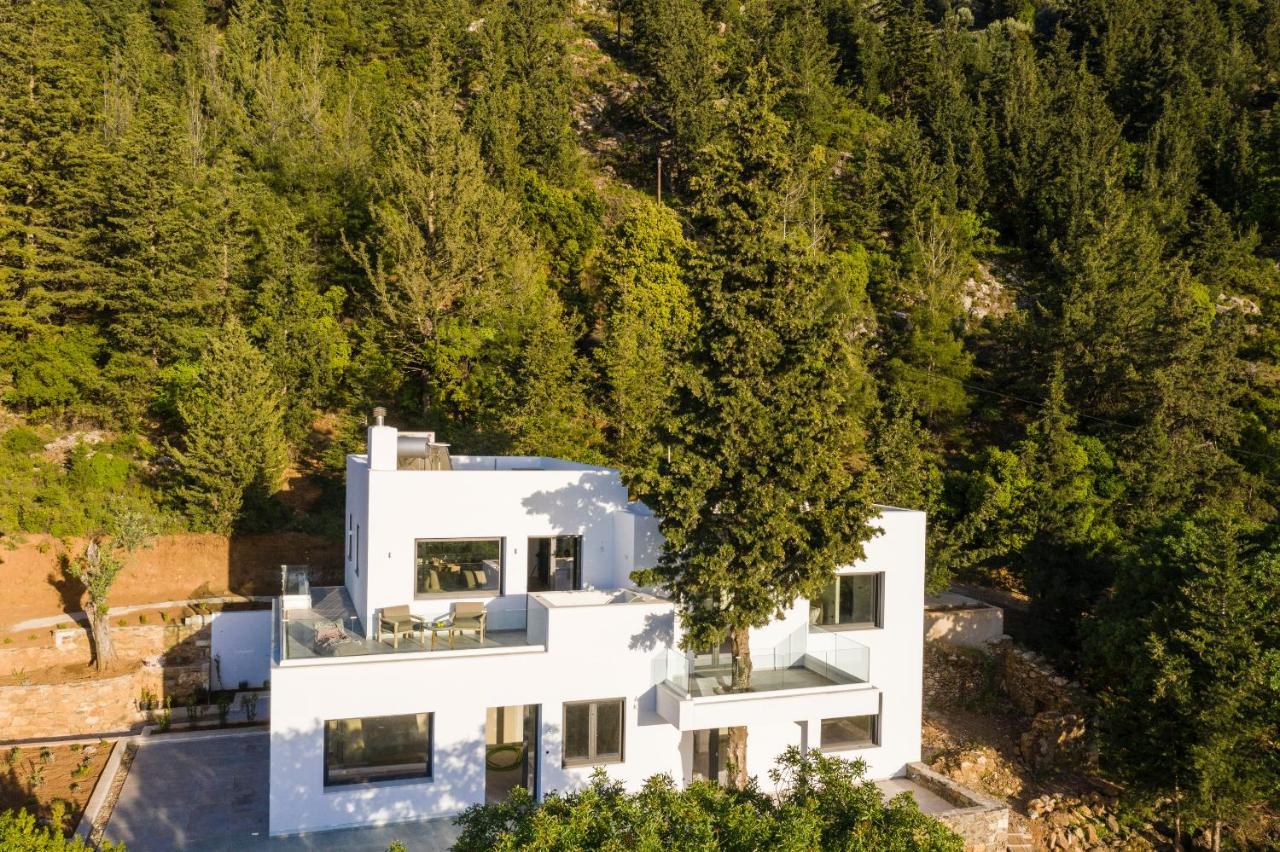 Forest View Villas 1 Lagoudi Zia Екстериор снимка