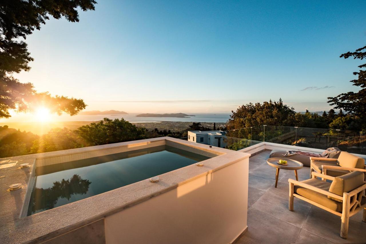 Forest View Villas 1 Lagoudi Zia Екстериор снимка